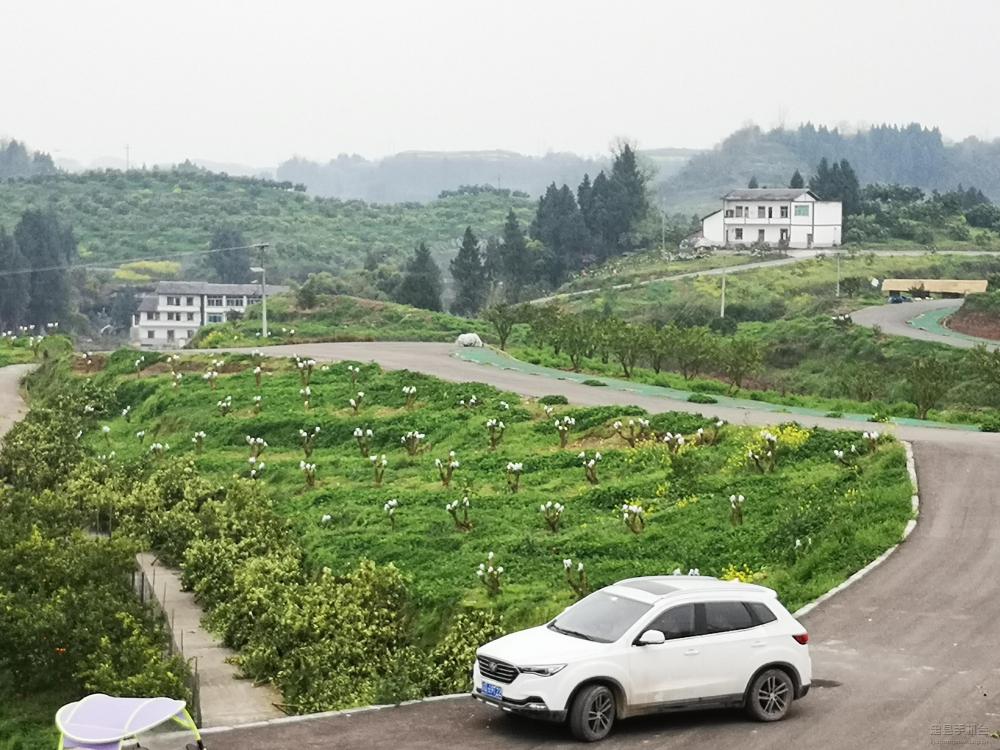 微信图片_20200319142943