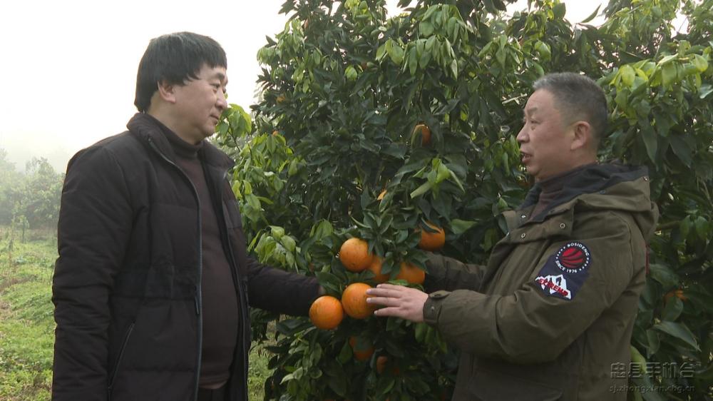 微信图片_20210118154530