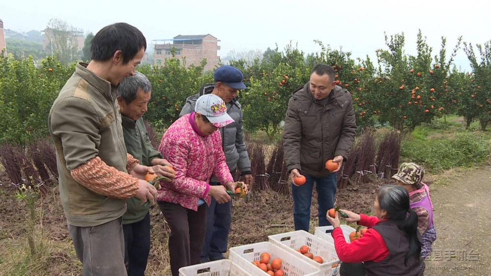 微信图片_20200120125349