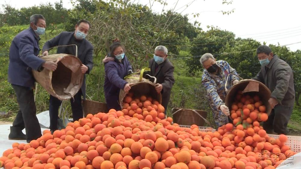 微信图片_20200313145453