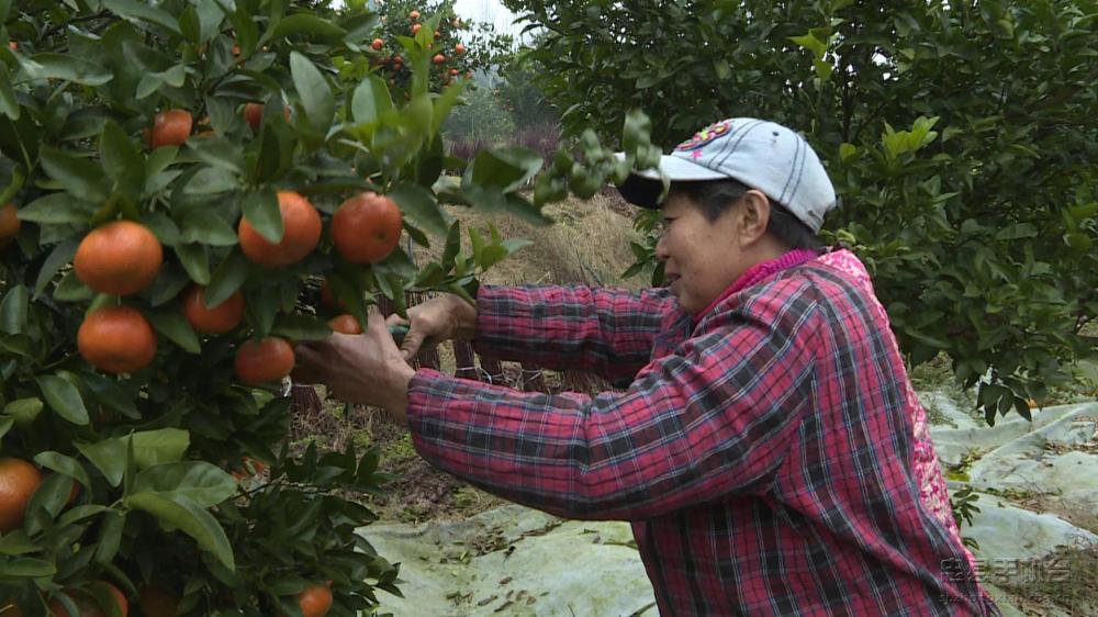 微信图片_20200120125349