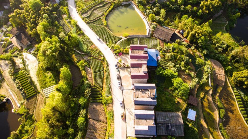 七彩大地】东溪镇翠屏村 绿色发展中一道靓丽的风景线-忠县手机台