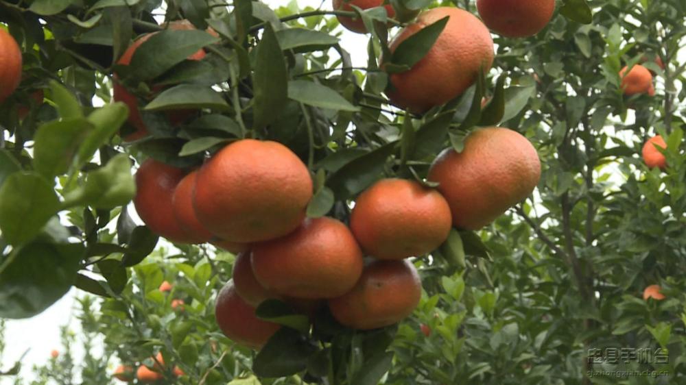 微信图片_20200120125216