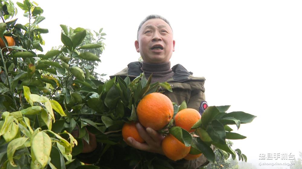 微信图片_20210118154554