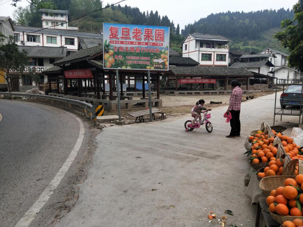 微信图片_20200329143355