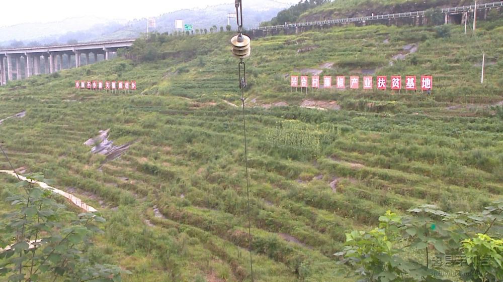 微信图片_20200712130659