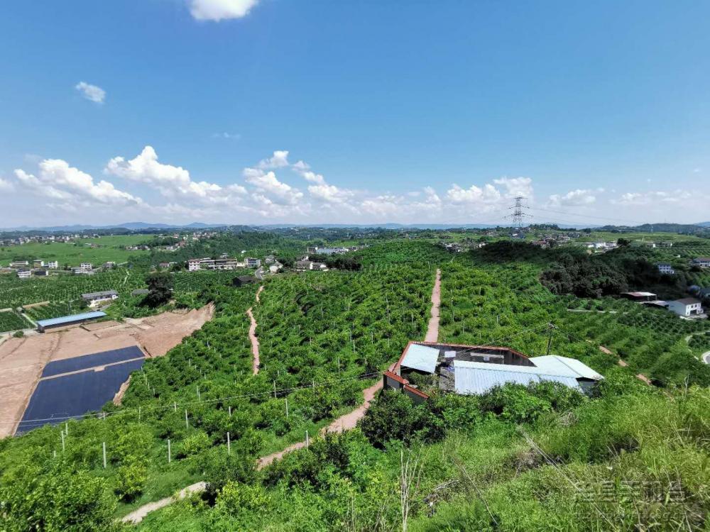 微信图片_20200824160400