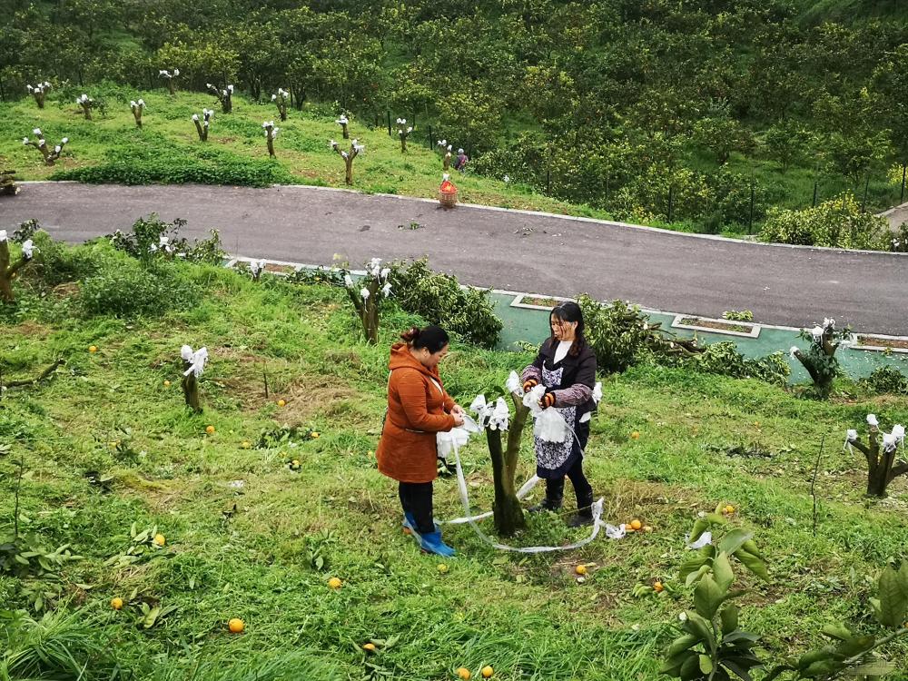 微信图片_20200319142952