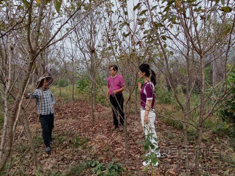 微信图片_20200907172502