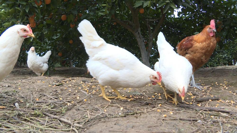 微信图片_20200116150526