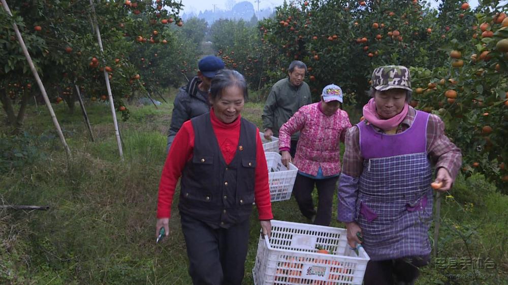 微信图片_20200120125349