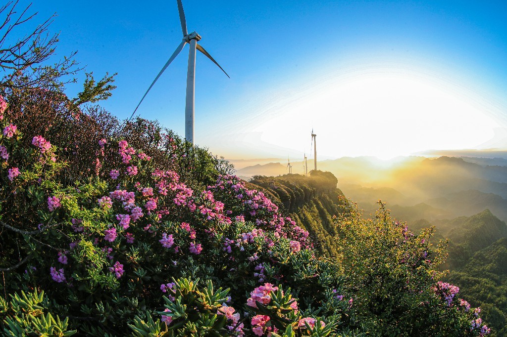 武隆区大洞河乡红宝村赵云山最高处海拔1948米,赵云山水资源丰富,森林