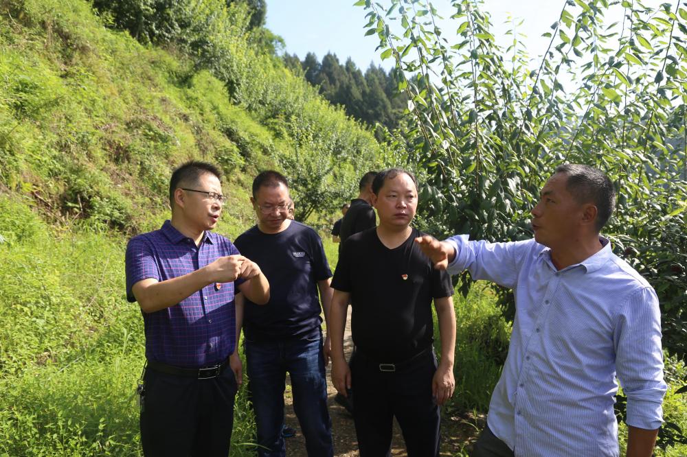 微信图片_202007011431483