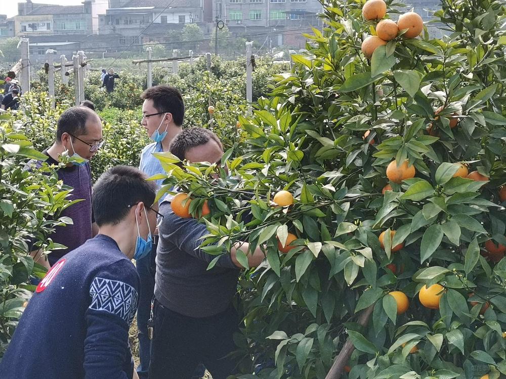 微信图片_20200409170954