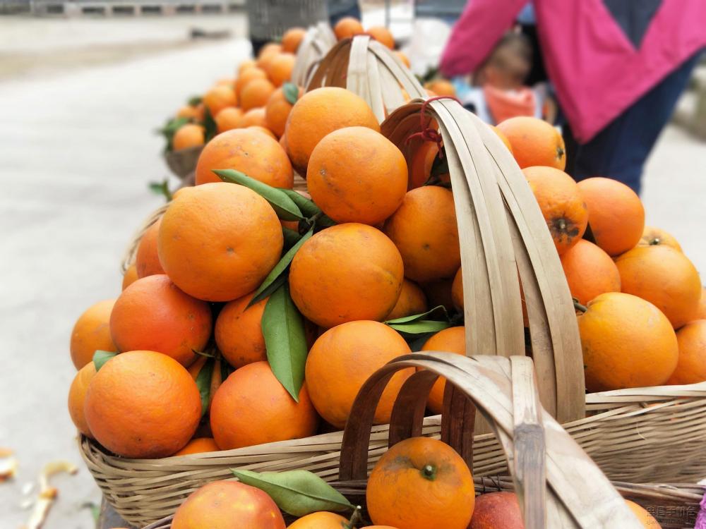 微信图片_20200329143421