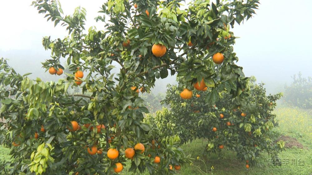 微信图片_20210118154542