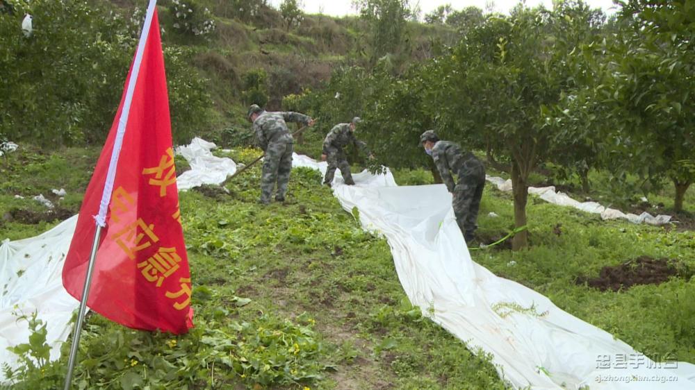 微信图片_20200209184744