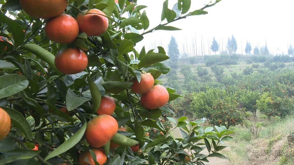 微信图片_20200120125231