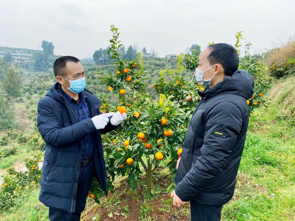 微信图片_20200219134613