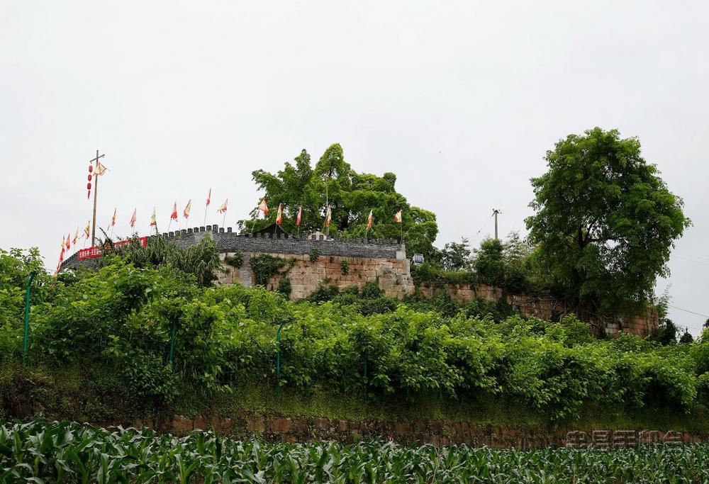 官坝镇百年城堡变身乡村旅游景点