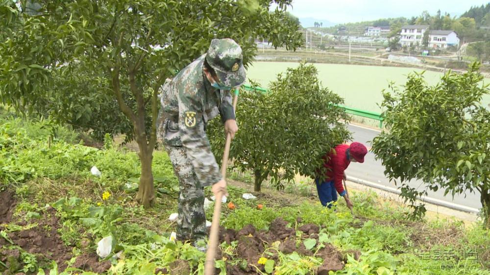 微信图片_20200209184751