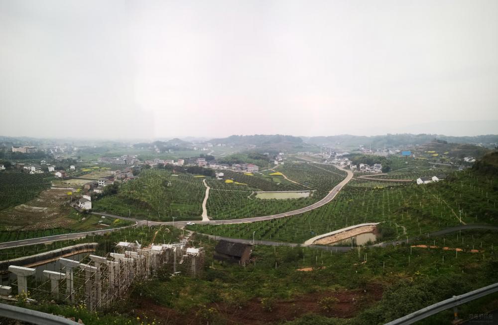 微信图片_20200318111006