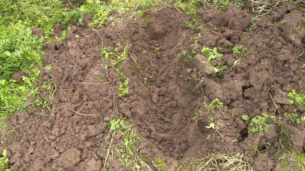 微信图片_20200209184731