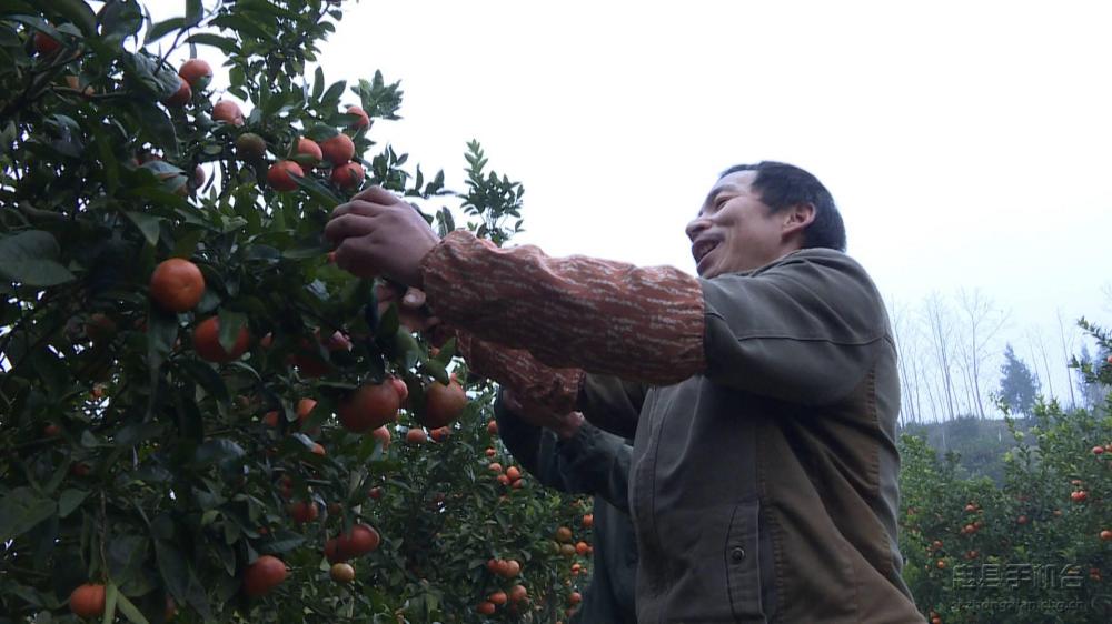 微信图片_20200120125126