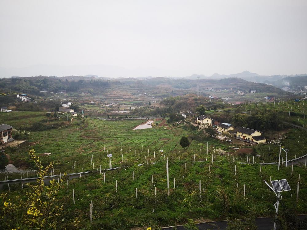 微信图片_20200318111006