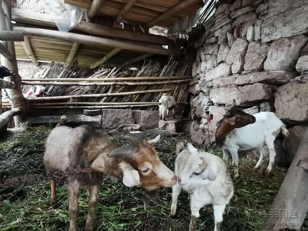 微信图片_202006281227281