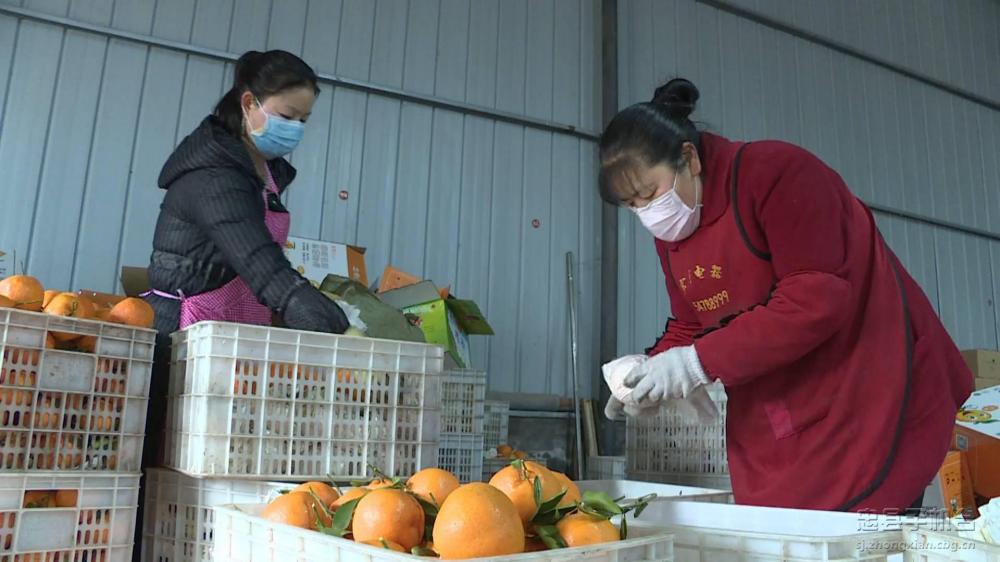 微信图片_20200313145544