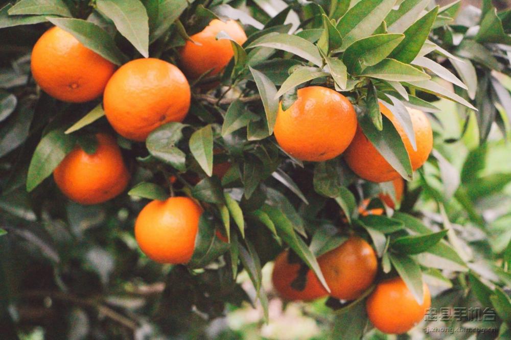 微信图片_20200219134548