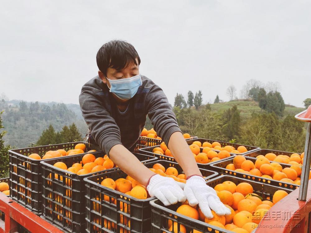 微信图片_20200219134600