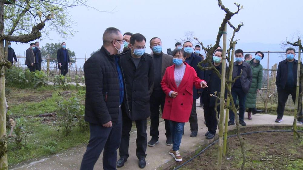 微信图片_20200317175751