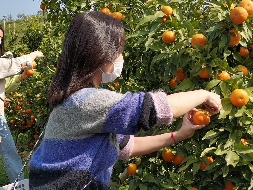 微信图片_20200409170827