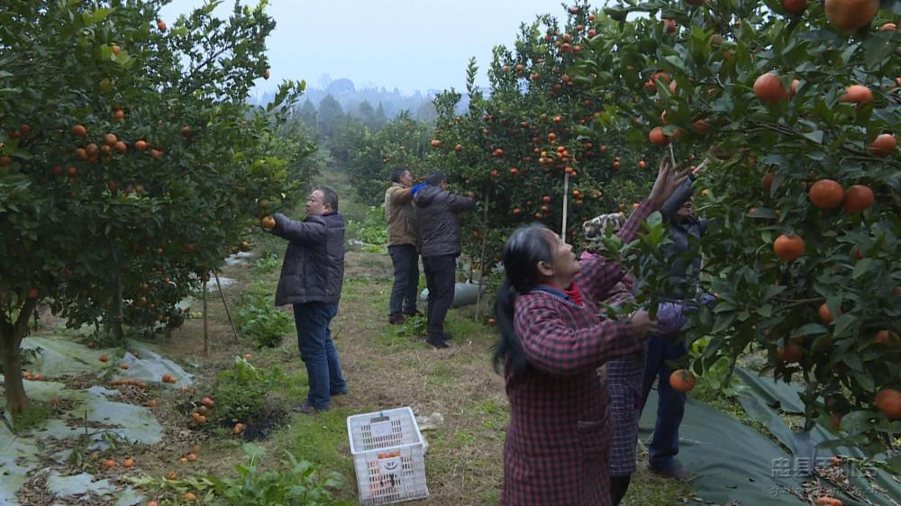 微信图片_20200120125126