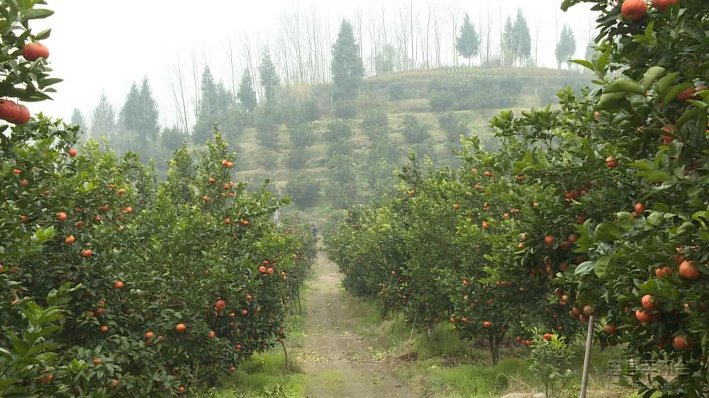 微信图片_20200120125216