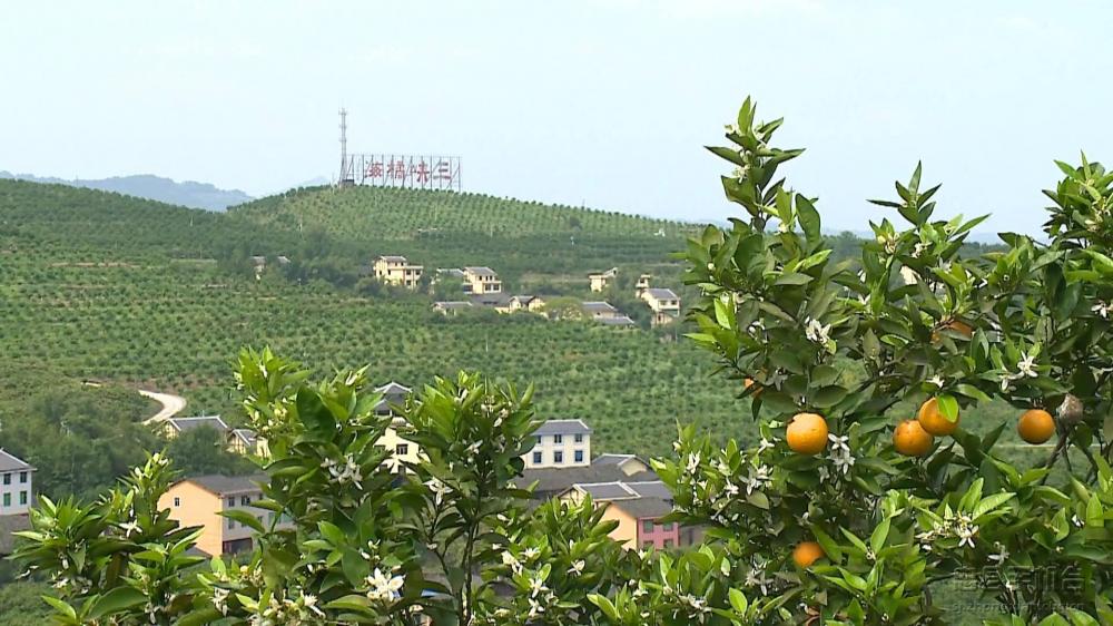 微信图片_20200313145453