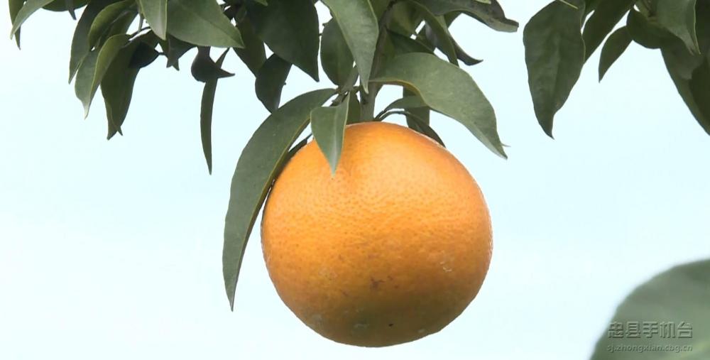 微信图片_20201216143845