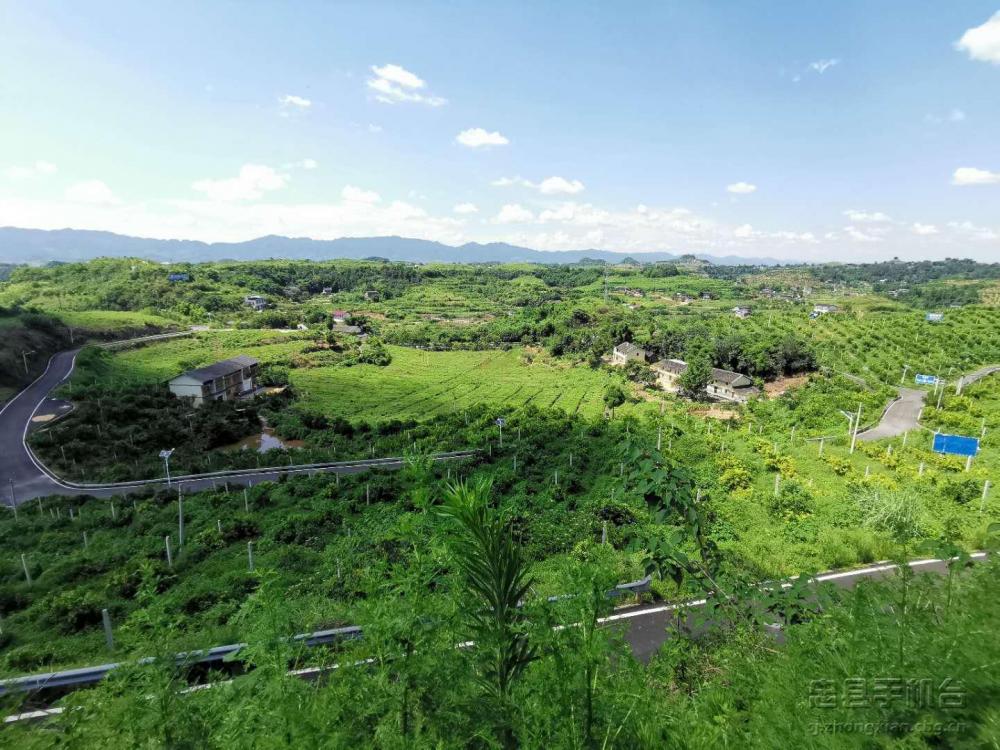 微信图片_20200824160315