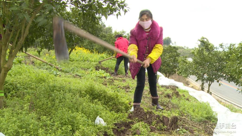 微信图片_20200209184731