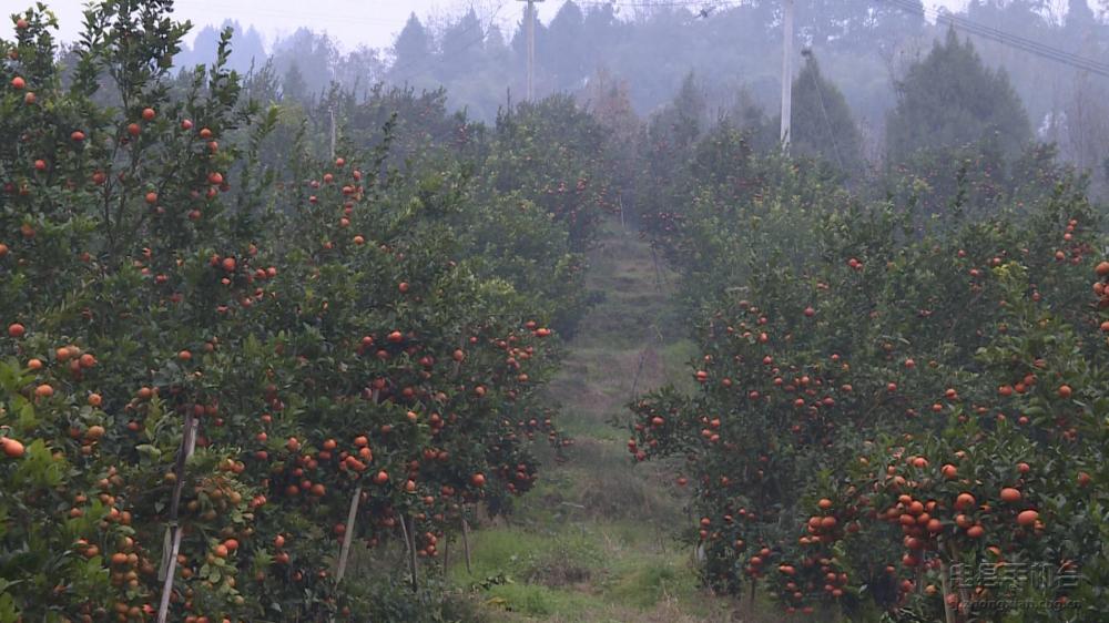 微信图片_20200120125231