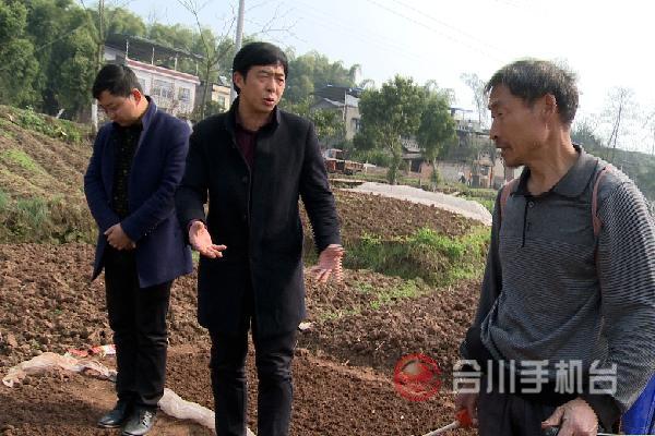 钱塘镇气温回升快田间技术指导忙