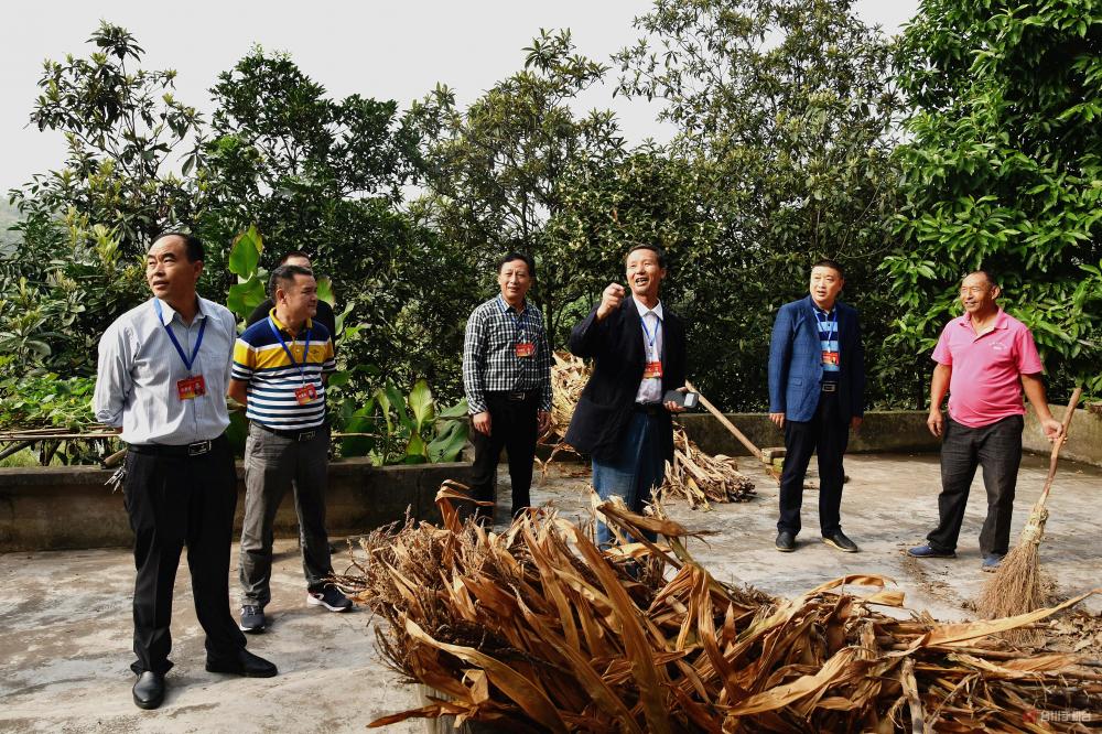 合川双槐镇开展人大代表集中视察活动