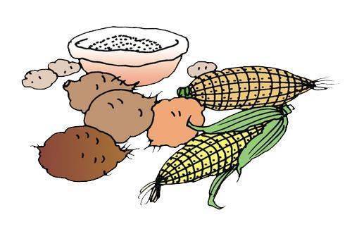 谷类食物图片卡通图片