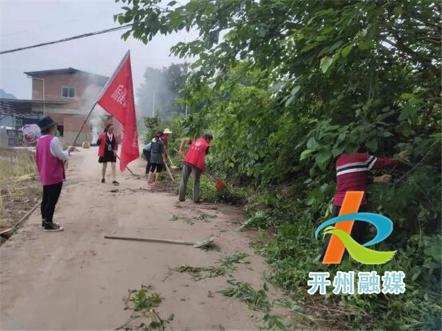 雷火电竞首页：开州岳溪镇志愿者清理道路1500米，清运垃圾1车(图3)