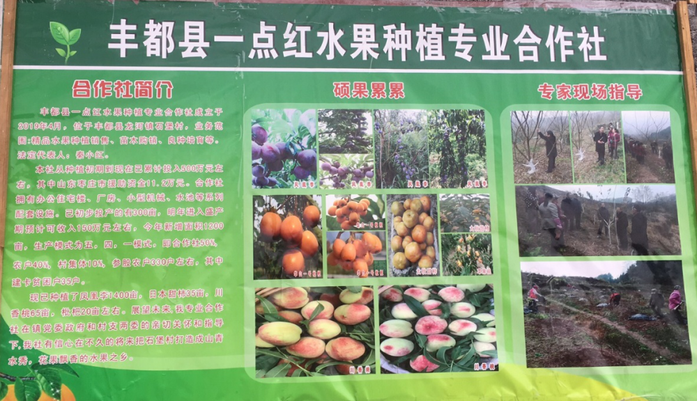 图片7