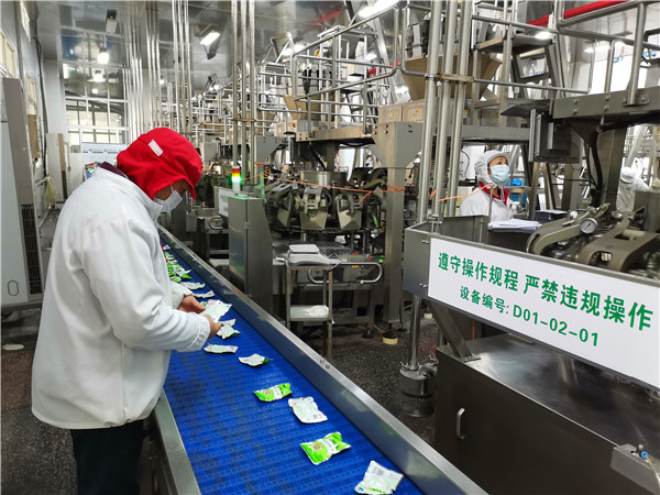 鱼泉榨菜生产车间工人在生产