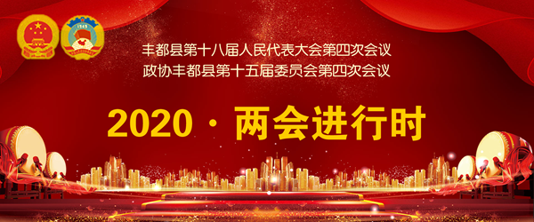 2020丰都两会