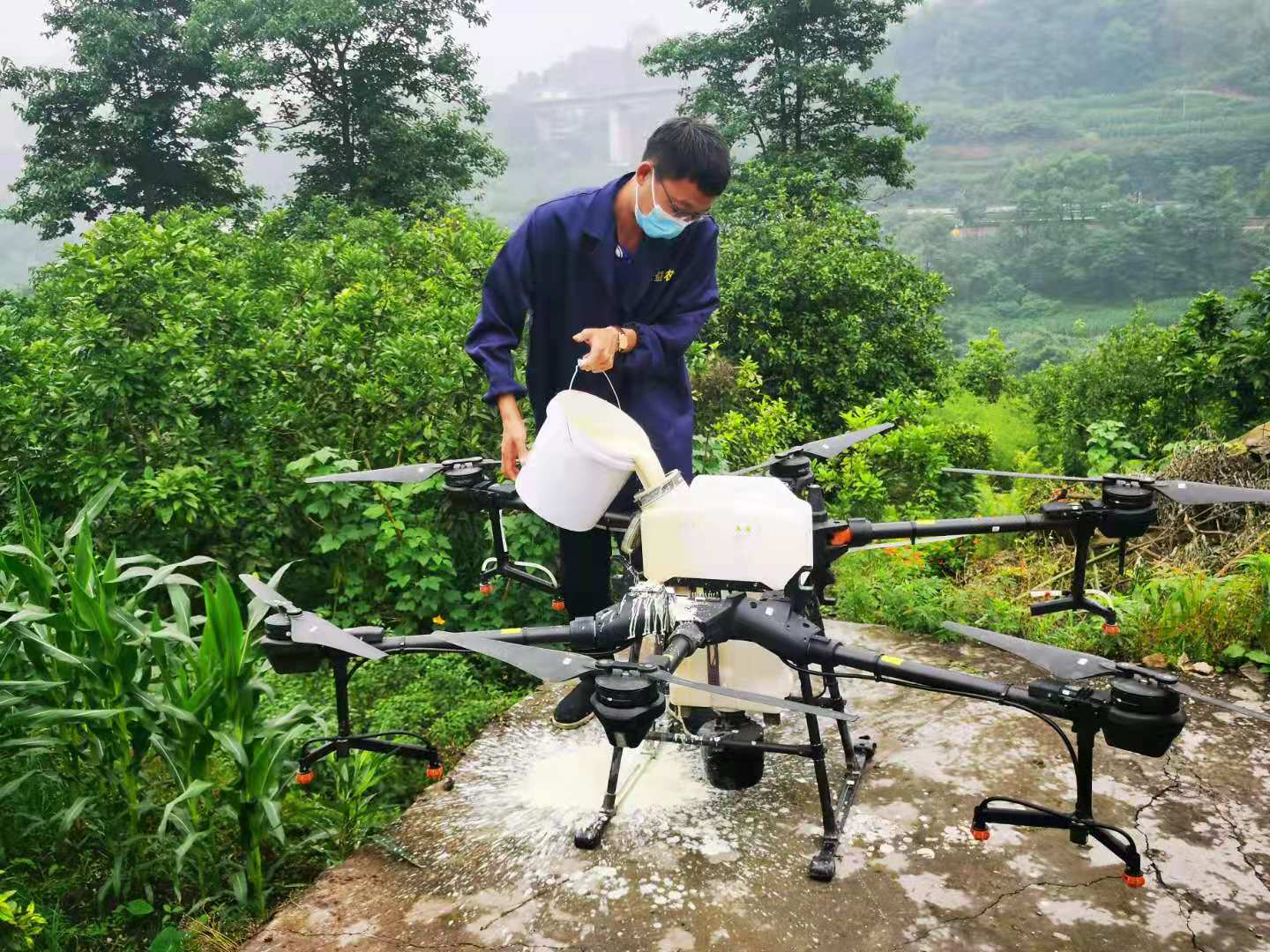 重庆綦江:无人机飞防 统防统治病虫害
